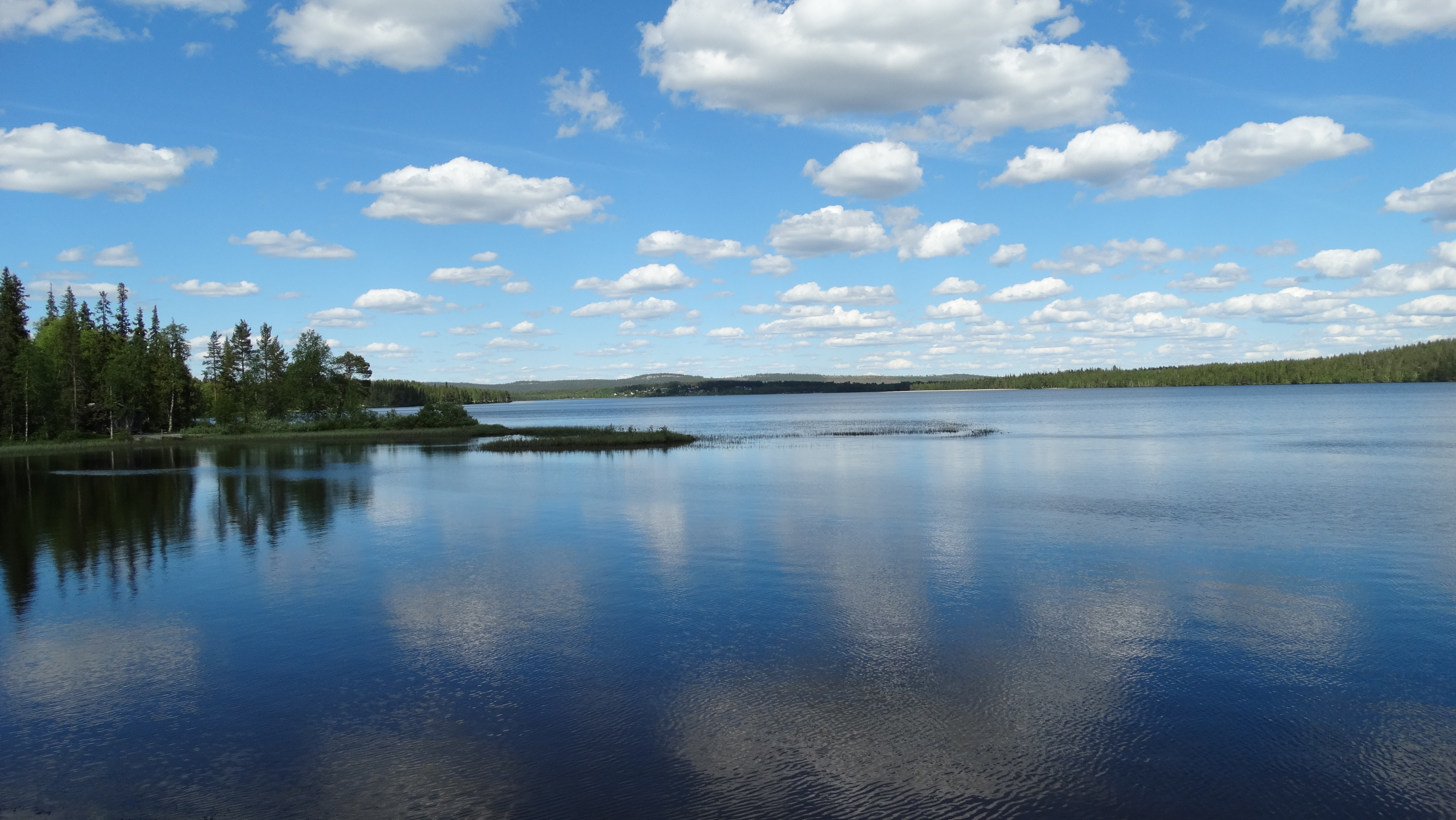 Nature en été