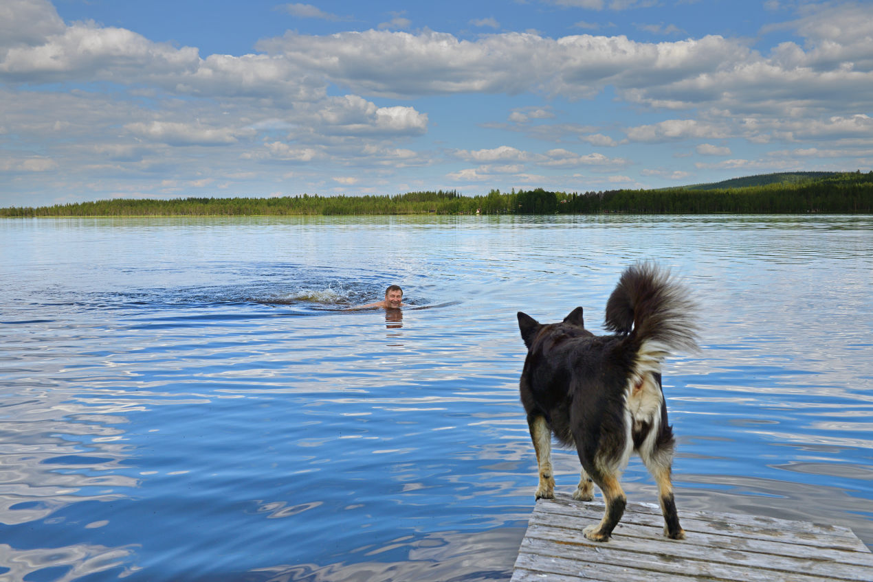Sauna & natation