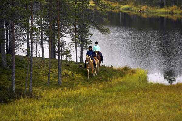 Trekking à cheval en Laponie