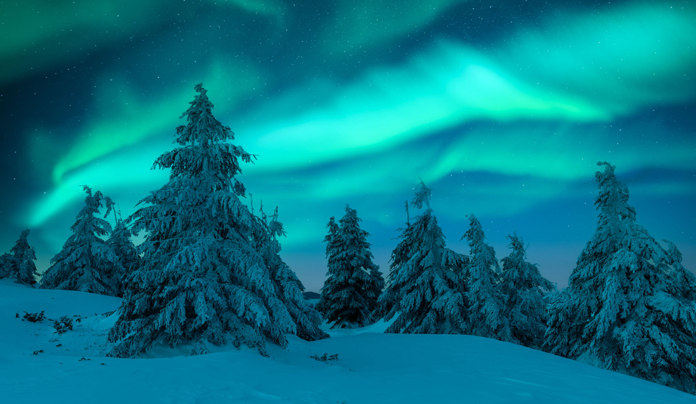 Ciel illuminé en Laponie finlandaise