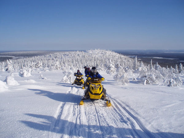 Pause en forêt