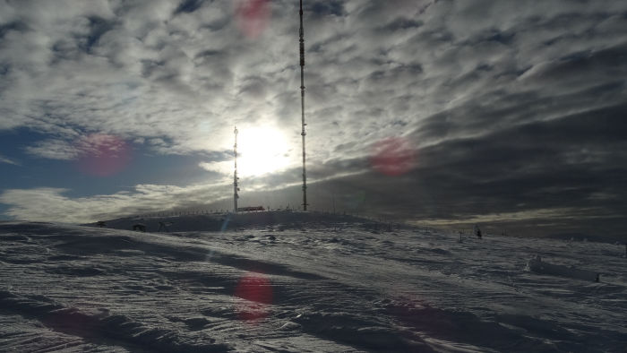 Arbres givrés sur les pistes
