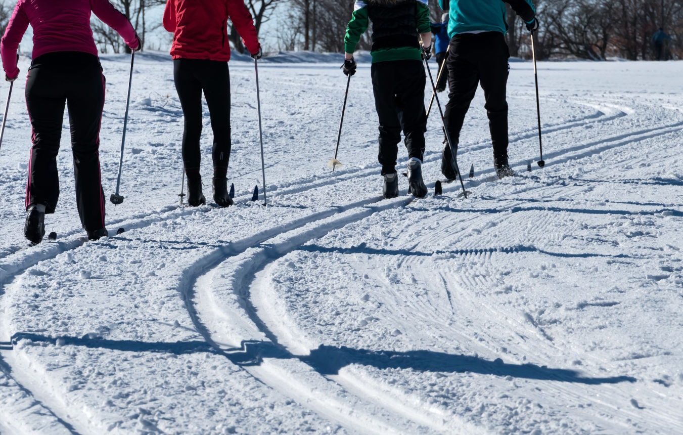 Skieur de fond en forêt enneigée