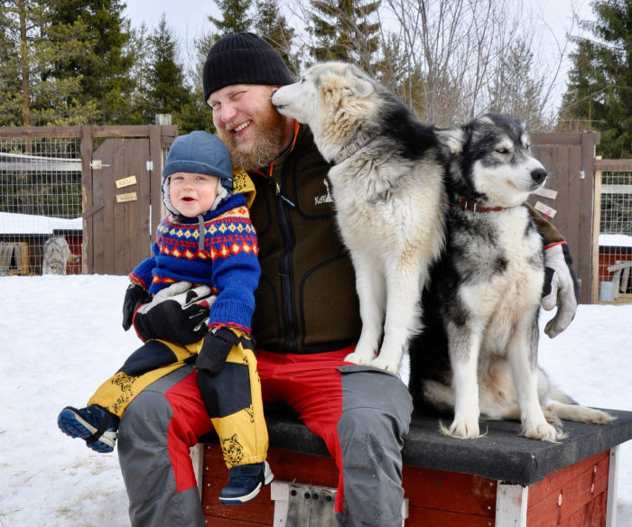 Kota-husky
