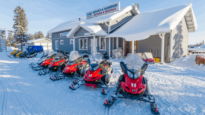 Pyhä Safaris
