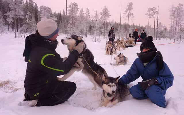 Découverte & activités hivernales